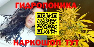стафф Рязань